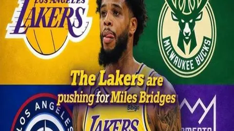 周六011英超对决：南安普敦迎战布莱顿